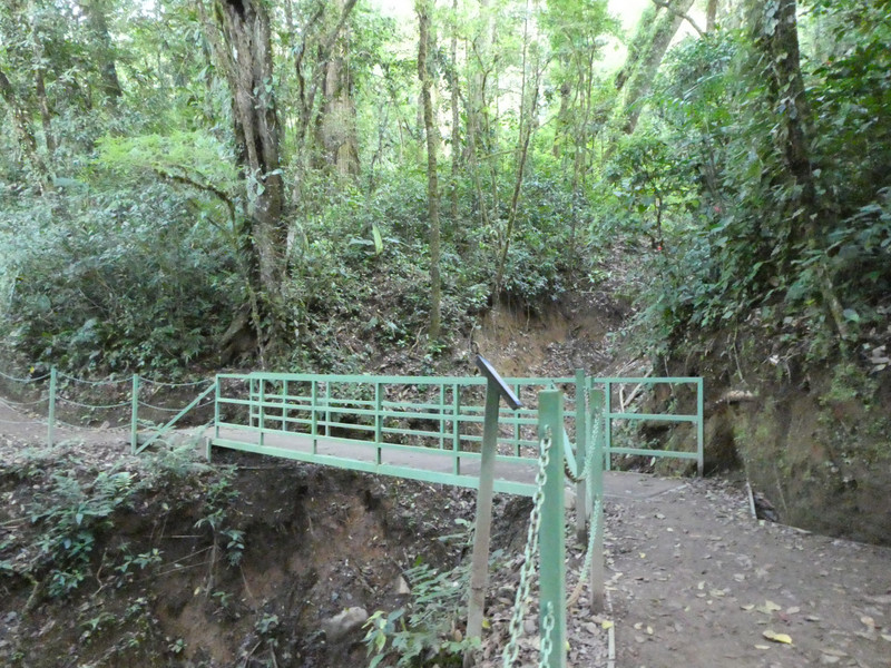 Monteverde Cloud Forest National Park Costa Rica (19)