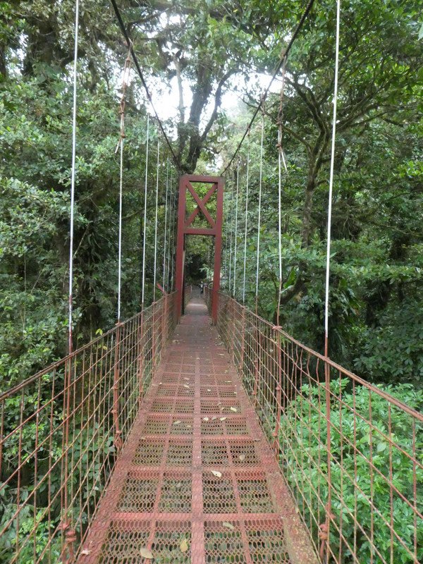 Monteverde Cloud Forest National Park Costa Rica (84)