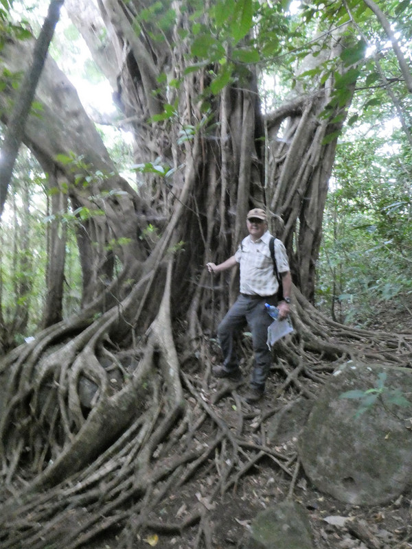 Ecological Sanctury Monteverde Costa Rica (7)