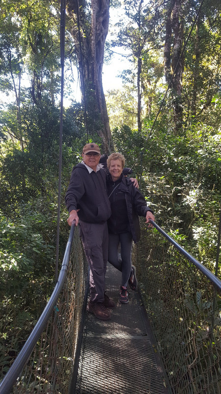 TreeTop Bridges Walk  Monteverde Costa Rica (5)