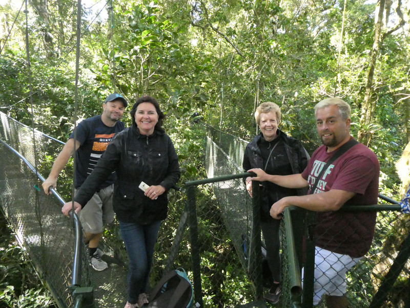TreeTop Bridges Walk  Monteverde Costa Rica