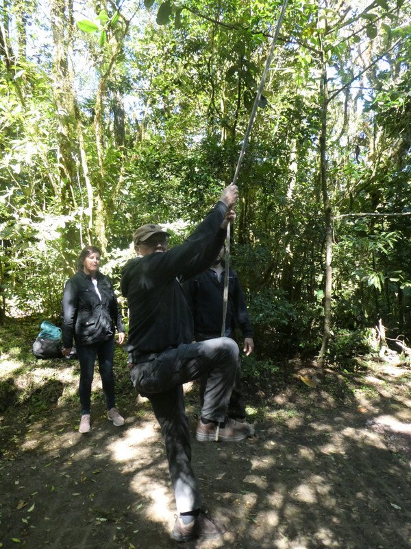 TreeTop Bridges Walk  Monteverde Costa Rica (21)