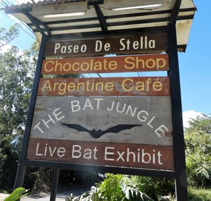 Bat Jungle Monteverde Costa Rica (1)