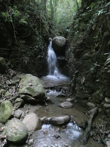 Ecological Sanctury Monteverde Costa Rica (1)