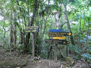 Ecological Sanctury Monteverde Costa Rica (9)