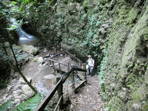 Ecological Sanctury Monteverde Costa Rica (14)