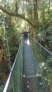 TreeTop Bridges Walk  Monteverde Costa Rica (2)