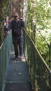 TreeTop Bridges Walk  Monteverde Costa Rica (3)