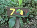 Bogarin Trail wildlife Centre La Fortuna Costa Rica (18)