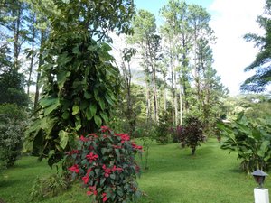 Arenal Observatory Resort and Spa (18)