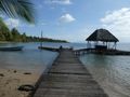 Star Fish Beach on Colon Island Panama  - ahh the Caribbean (1)