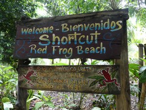Red Frog Beach on Bastimento Island Panama (6)