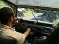 Panaramic Jeep Tour Boquete Panama (13)