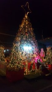 Christmas lights in Boquete Panama (4)