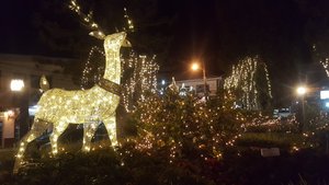 Christmas lights in Boquete Panama (7)