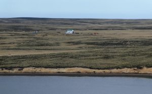 Port Stanley Falklands (6)