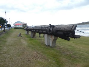 Port Stanley Falklands (25)