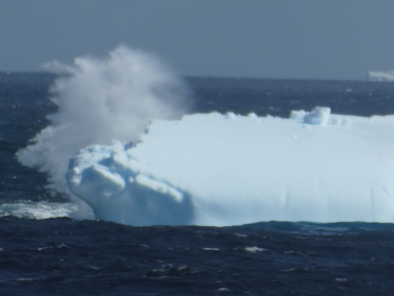 Beautiful icebergs (4)