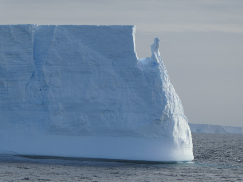 Beautiful icebergs (5)