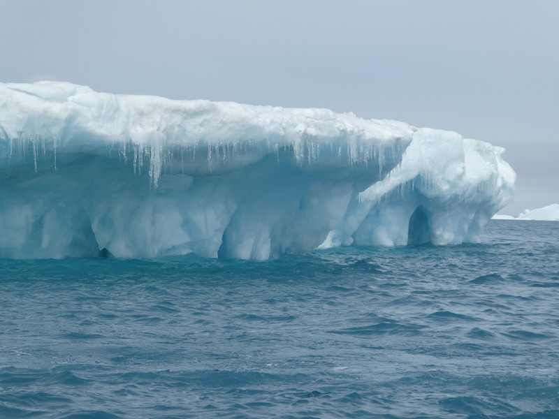 Beautiful Iceberg in Active Sound Antarctica