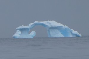 Cierva Cove Antarctica (10)