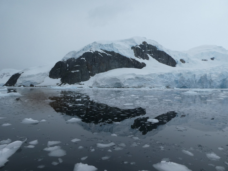 Paridise Harbour Antarctic Peninsula (31)