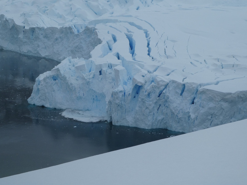 Calving of ice on Neko Harbour Antarctic Peninsula