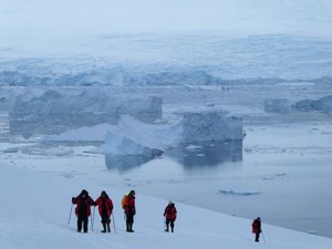 Neko Harbour Antarctic Peninsula (35)