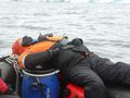 Our photographer whale watching at Portal Point Antarctic Peninsula (1)