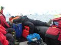 Our photographer whale watching at Portal Point Antarctic Peninsula (2)
