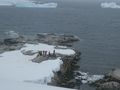 Portal Point Antarctic Peninsula (26)