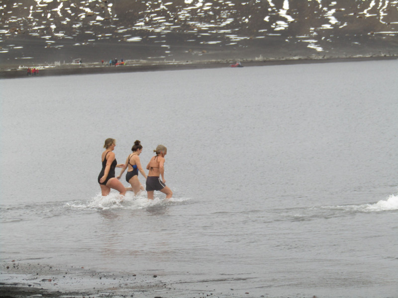 Icy swim at Pt Foster Deception island volcano (5)