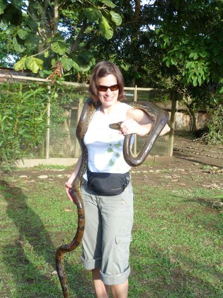 Anaconda 4 metres, Tina our Swizz friend