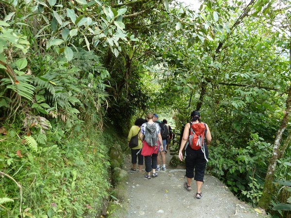 Walking path to 3rd waterfall