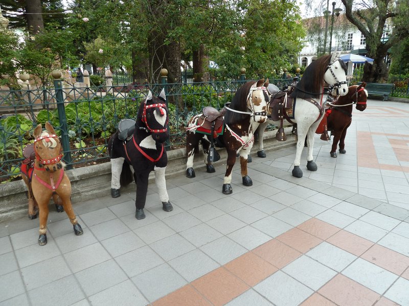 "Horses" in Main Square