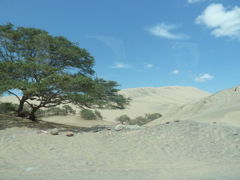 Sand dunes at Huacachina Oasis