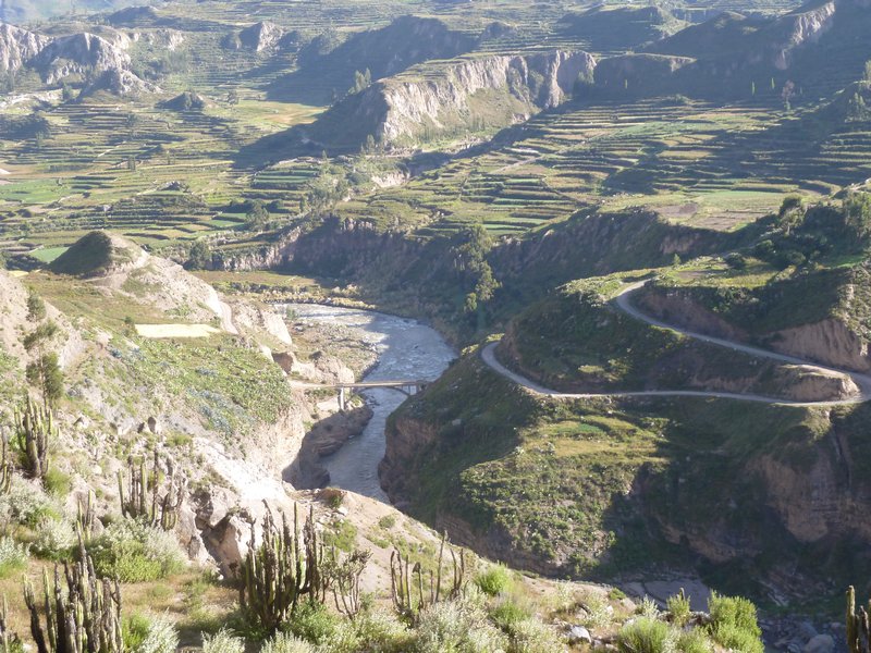 Terraced Colca River Valley