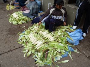 Corn in markets
