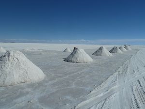 Salt stacks on Salar