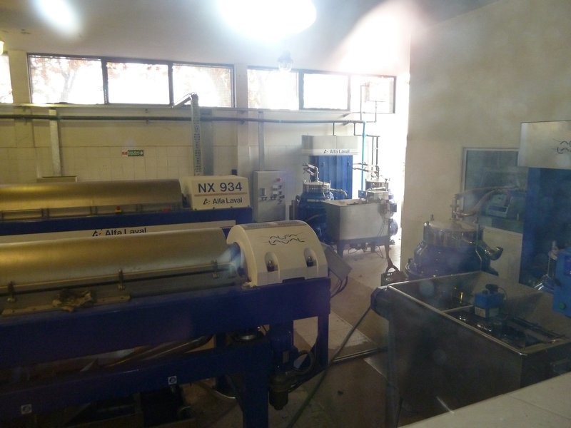 Modern Olive oil extraction machines