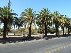 Avenue in 400 hectares of San Martin Park