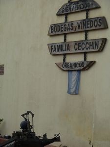 Cecchin Family winery since 1905