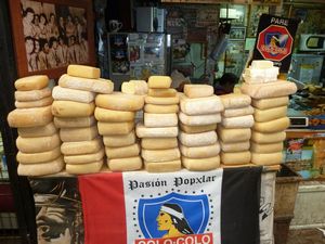 Cheeses in Dalcuhae on Isle of Chiloe