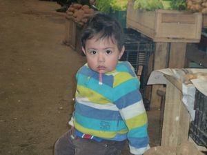 Cute little boy on Chiloe