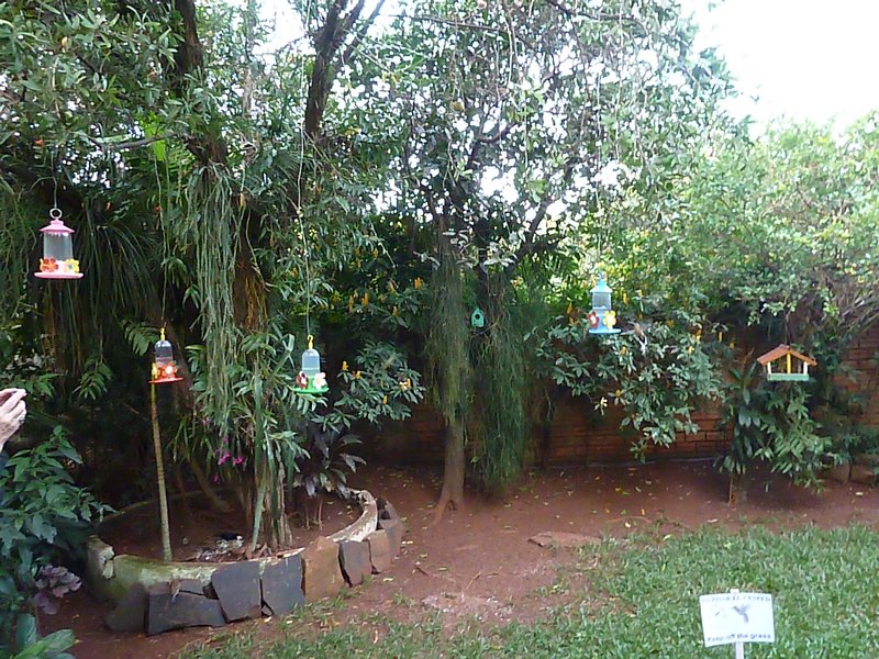 Jardine de los Picaflores humming bird garden Puerto Iguazu