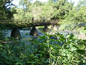 Iguazu Falls Argentina (187)