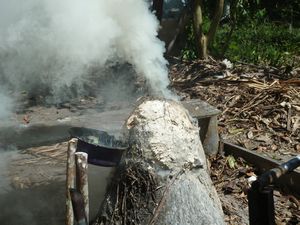 A traditional rubber plantation villager - fire and smoke for heat
