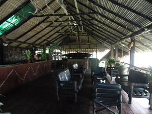 Amazon Village Lodge where we stayed (14)