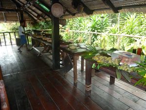 Amazon Village Lodge where we stayed (20)