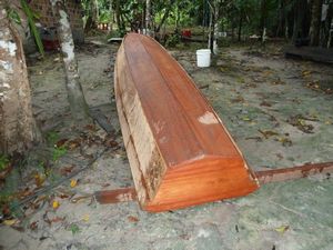 Life along the Amazon River - boat made by villagers (2)